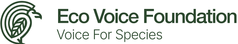 Eco Voice Foundation Logo